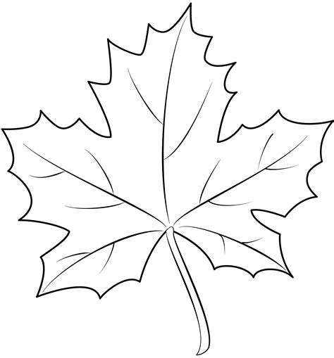 maple leaf outline|maple leaf outline free.